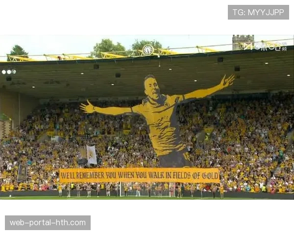 现场：蒙彼利埃球迷在球队保级关键战前展示巨型TIFO